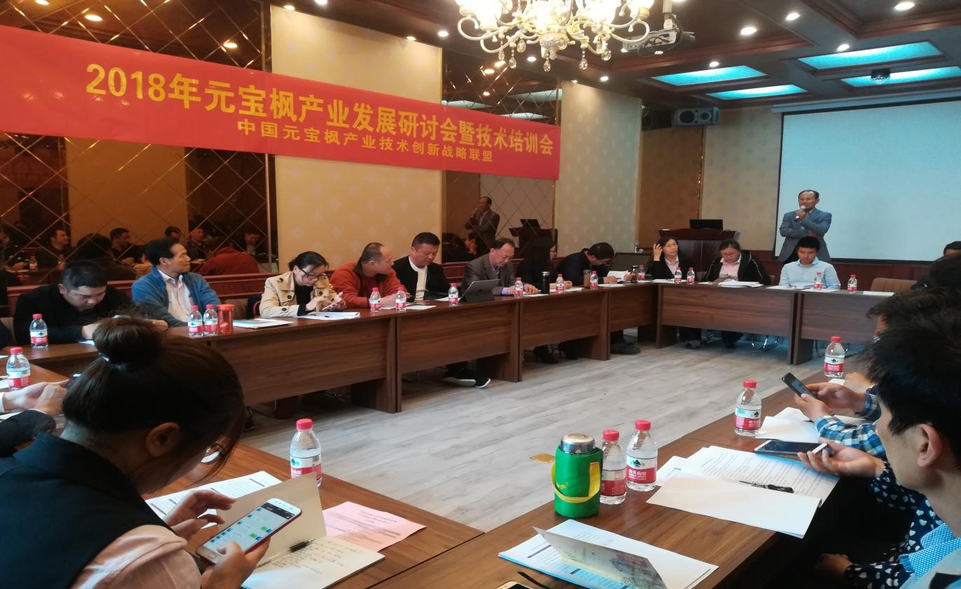 2018年(nian)元寶楓産(chan)業髮(fa)展(zhan)研讨會暨技(ji)術(shù)培訓會 在(zai)中(zhong)國(guo)元寶楓之(zhi)鄉(xiāng)山(shān)東泗水隆重(zhong)召開