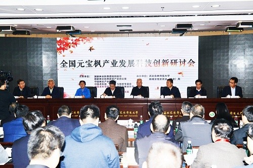 2018年(nian)11月1日(ri)陝西楊淩全國(guo)元寶楓産(chan)業髮(fa)展(zhan)研讨會
